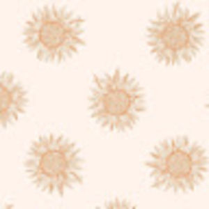 Meet your Posher, Rayleej